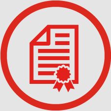 Established Safety Icon