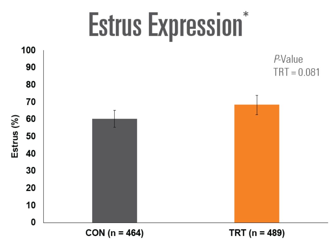 Estrus new - 1