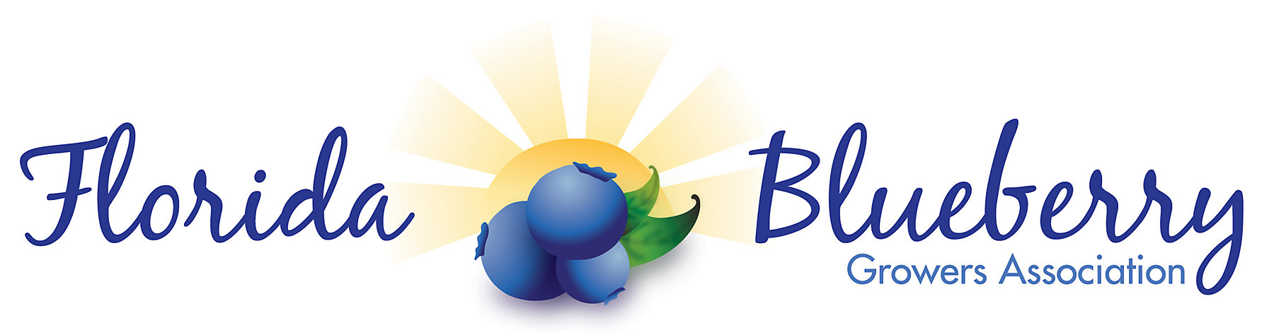 Logo-external-FBGA