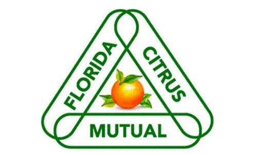 Logo-external-FCM-500x300