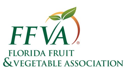 Logo-external- FFVA-500x300