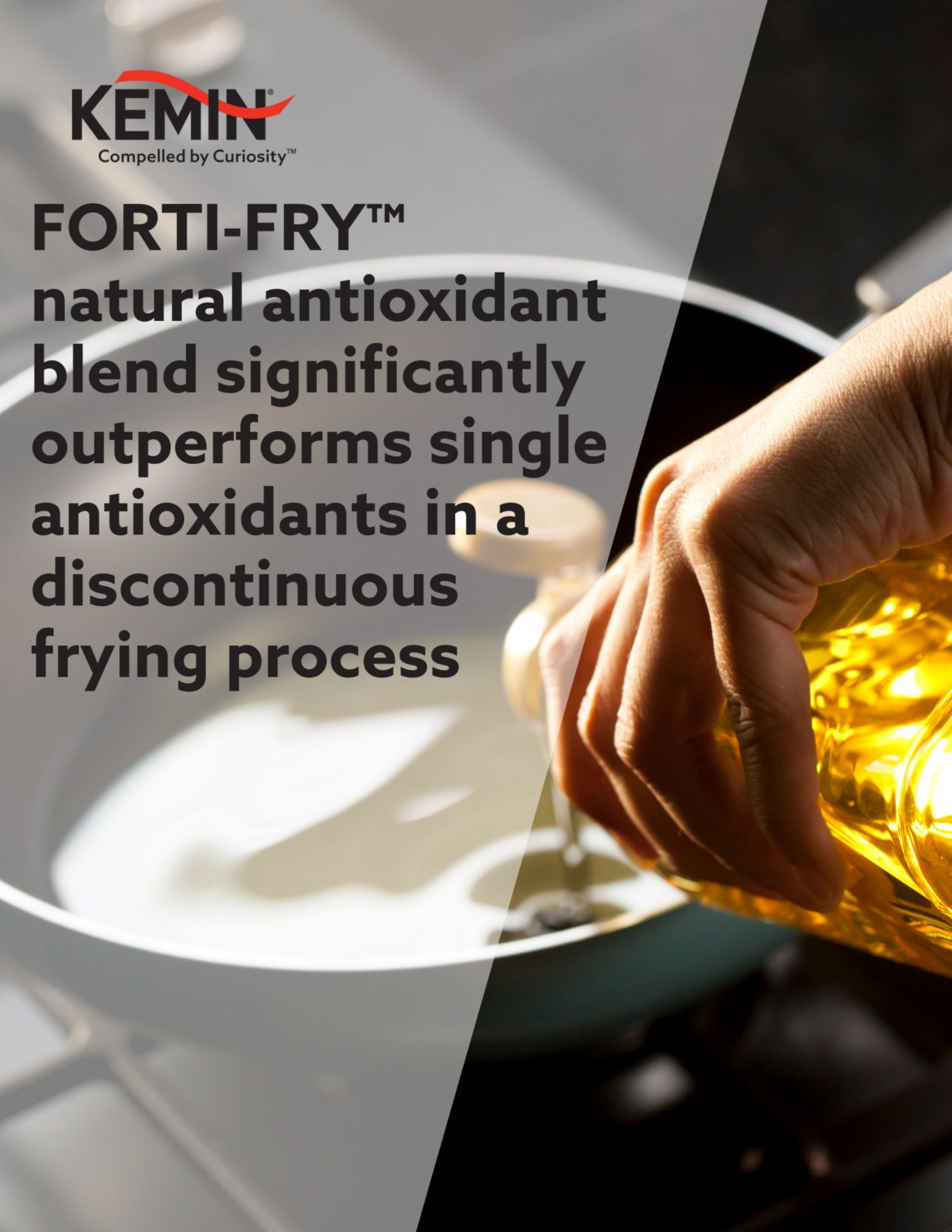 FORTI-FRY natural antioxidant blend significantly outperforms single antioxidants in a discontinuous frying process 