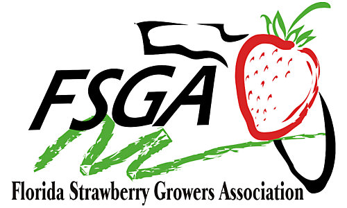 Logo-external- FSGA-500x300