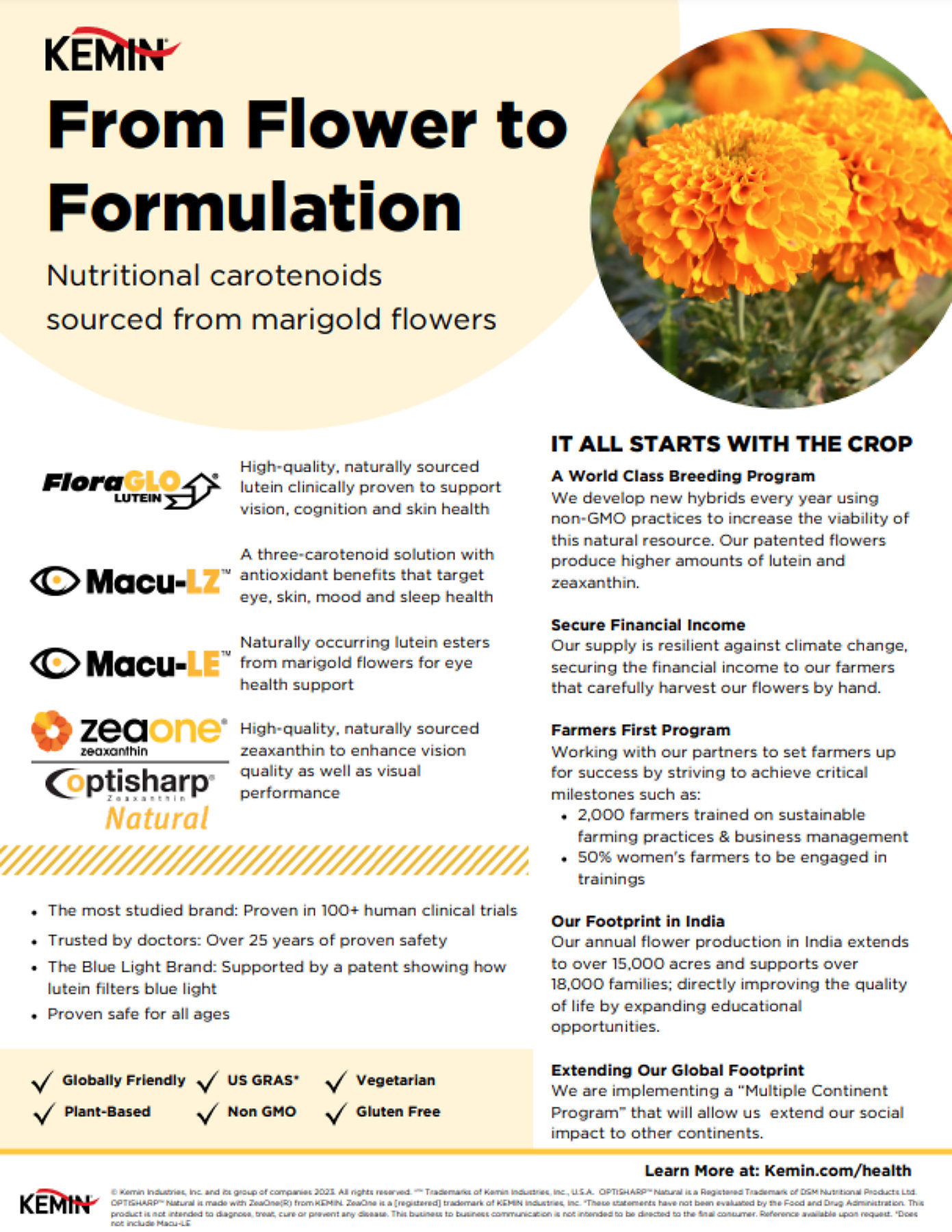 From Flower to Formulation - 4