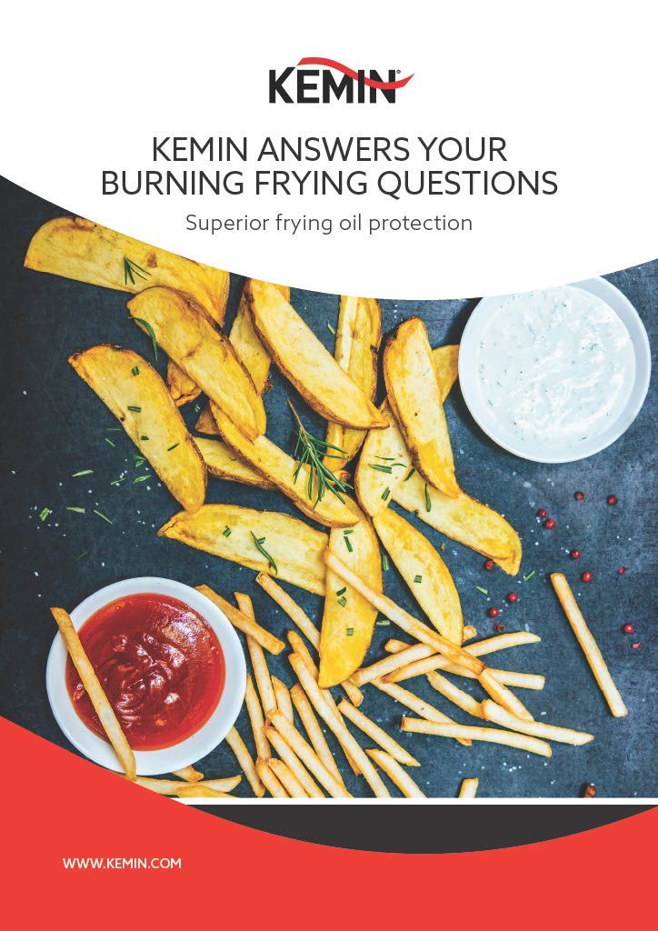 FORTI-FRY Frying Protection Brochure