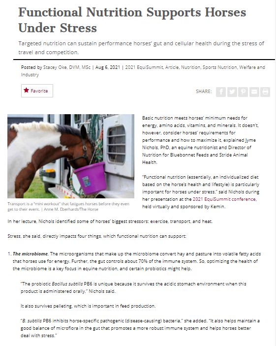 Functional Nutrition Supports Horses Under Stress