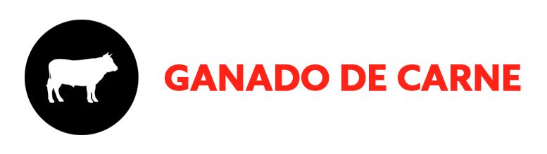GANADO DE CARNE.png