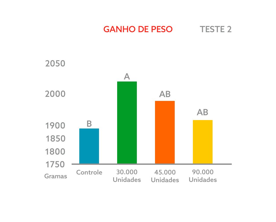 GANHO DE PESO teste 2.png