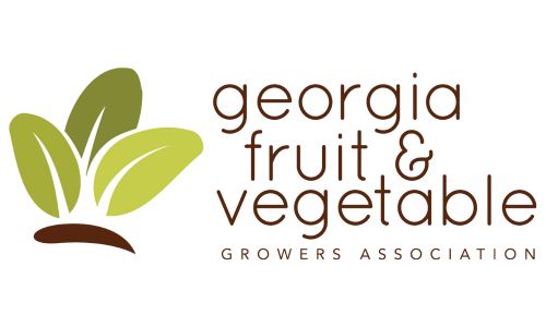 Logo-external-GFVGA-500x300