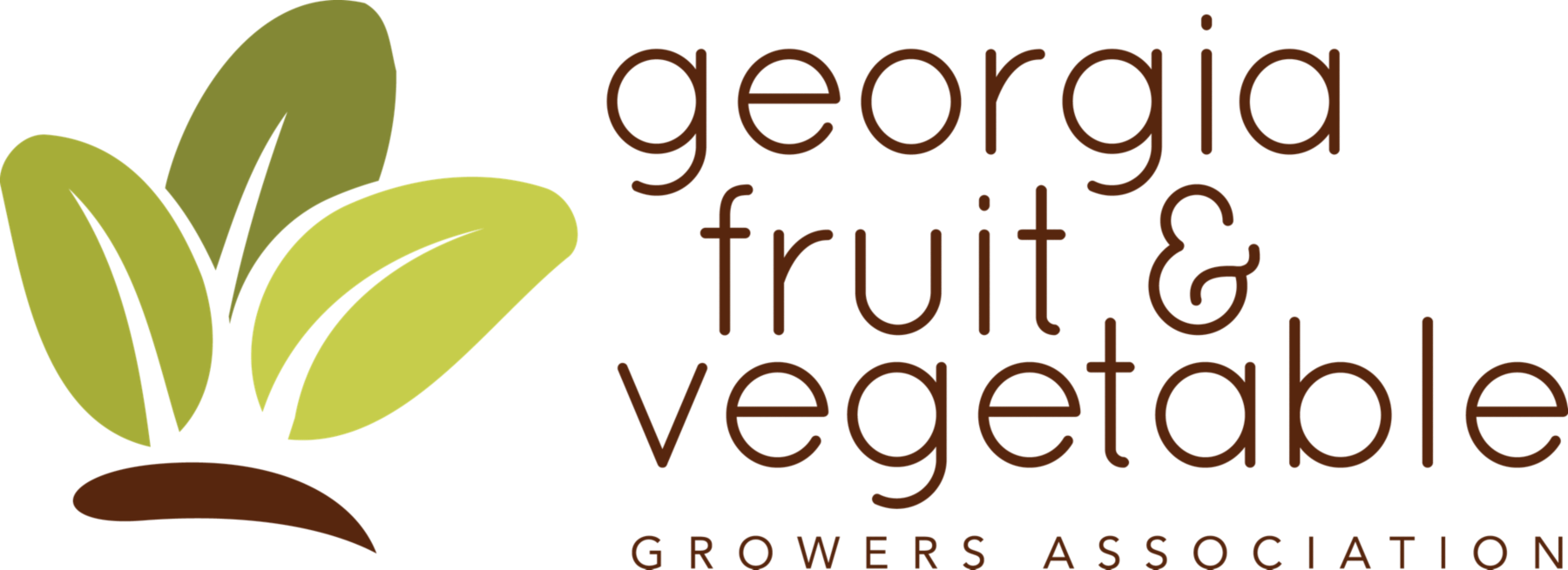 Logo-external-GFVGA