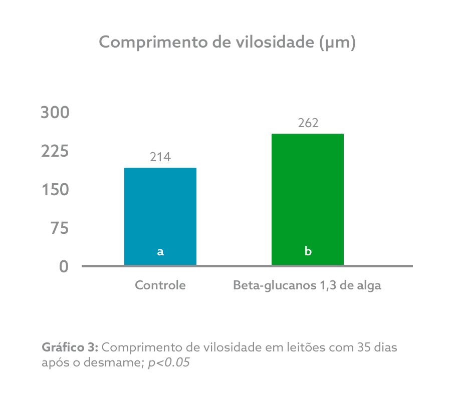 GRÁFICO 3.png