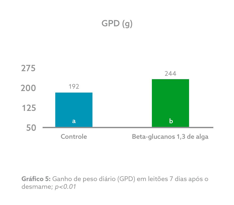 GRÁFICO 5.png