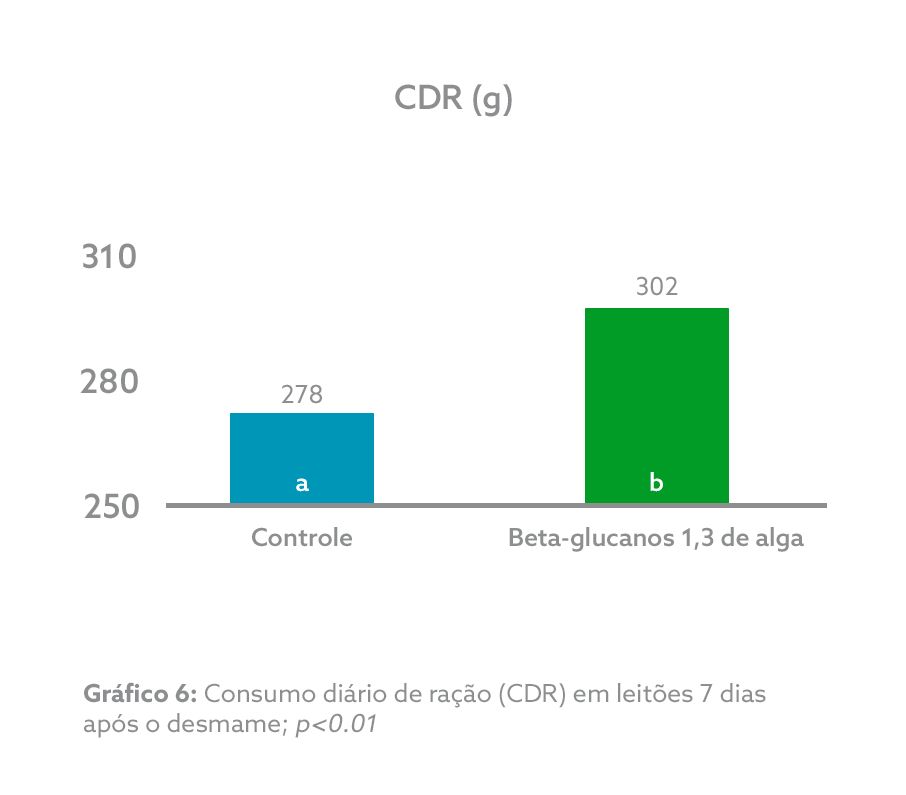 GRÁFICO 6.png