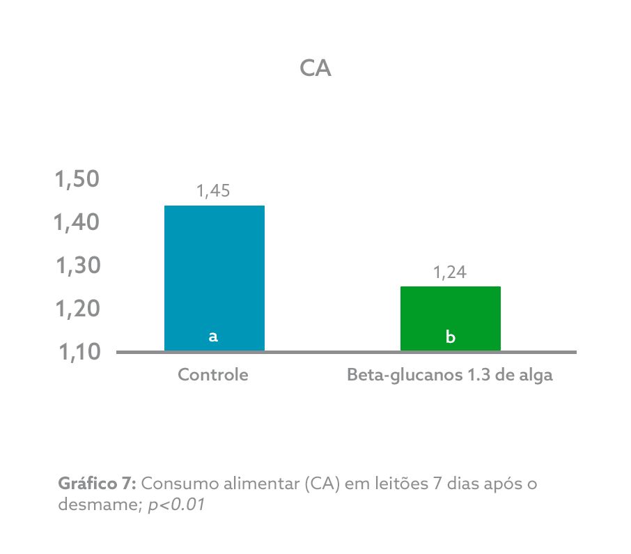 GRÁFICO 7.png