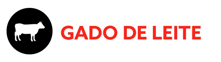 GADO-DE-LEITE