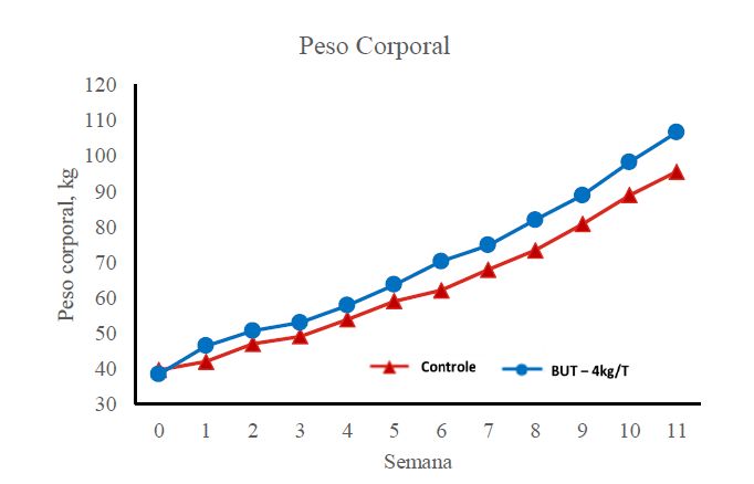 Grafico - Butipearl Rumi