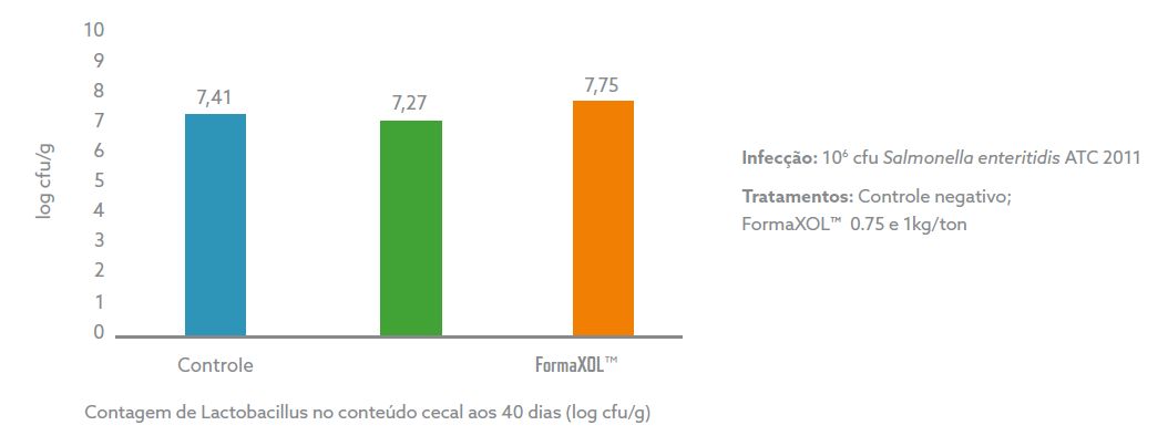 Gráfico 4.png