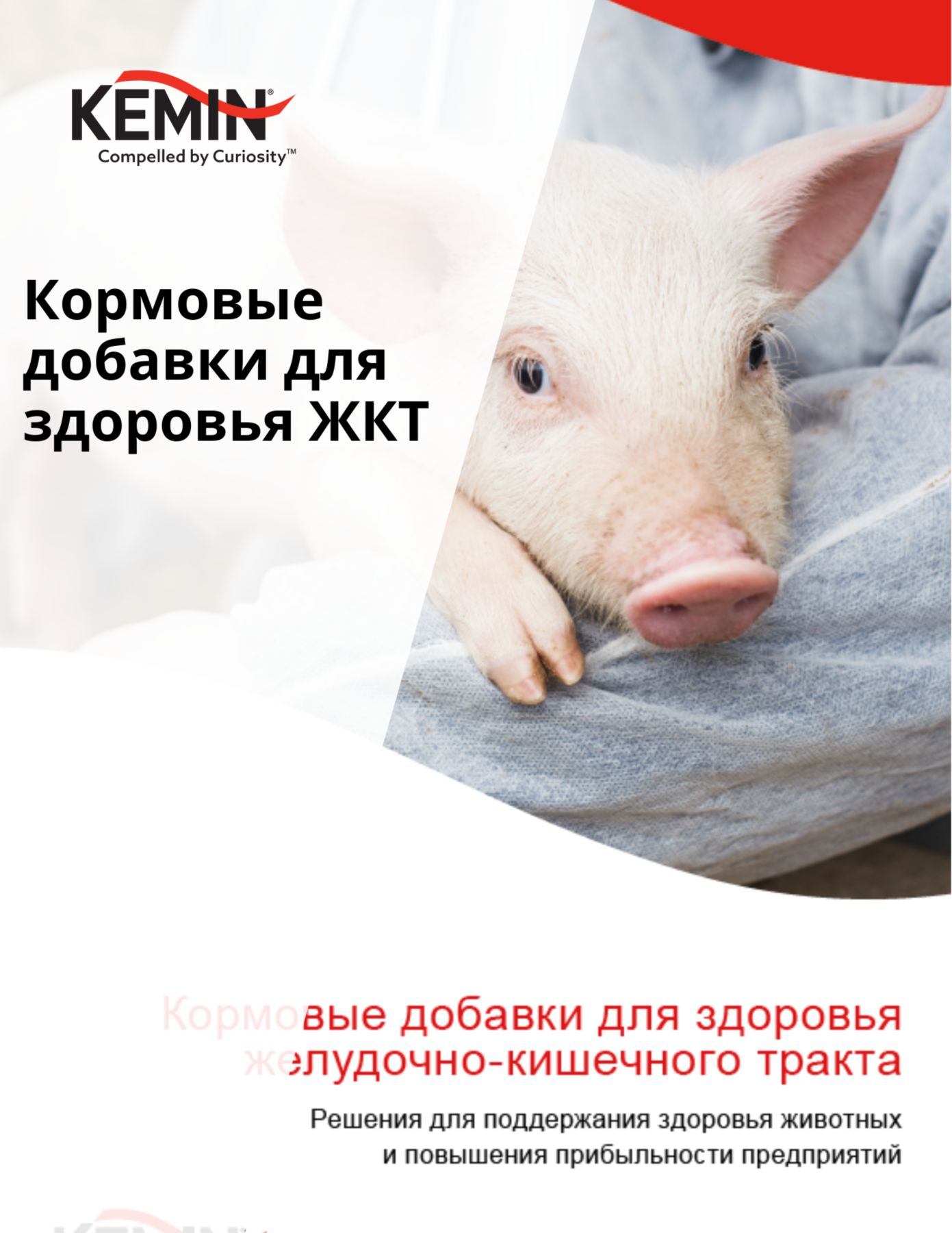 Feed additives for gut health