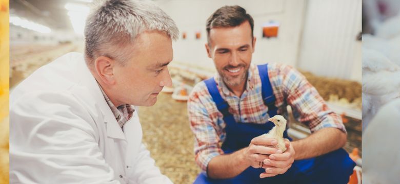 Header-banner-Poultry-Vaccines