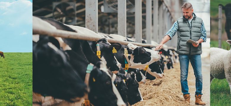 Header-banner-Ruminant-Vaccines