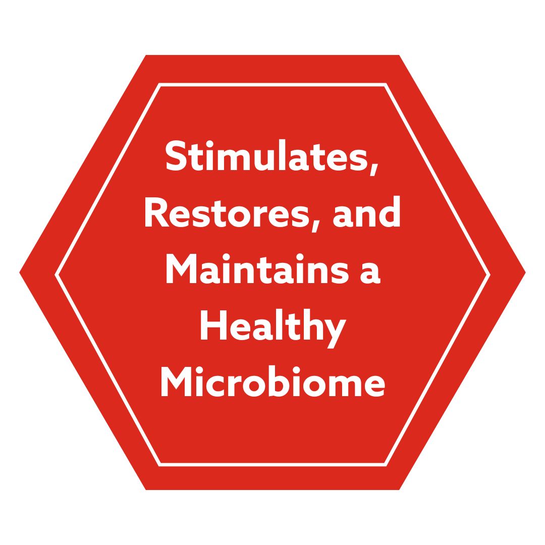 Healthy Microbiome