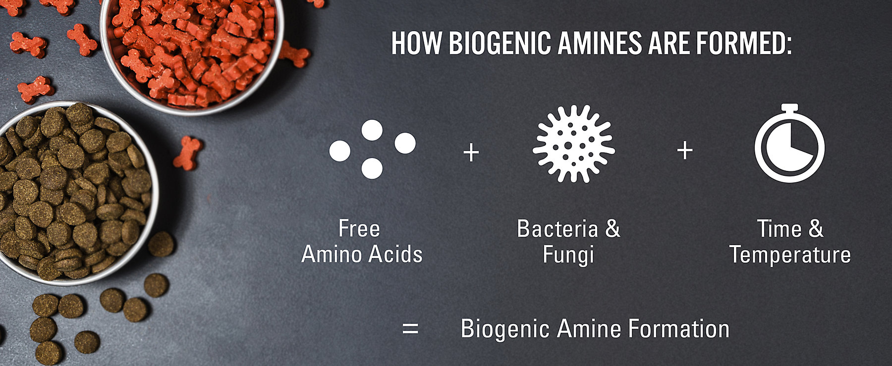How Biogenic Amines Are Formed_small-1