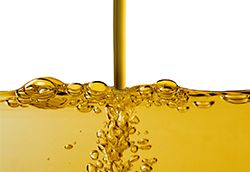 Hows0_0Your0_0Fat0_0Looking