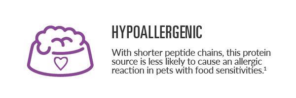 HypoallergenicGraphic_purple