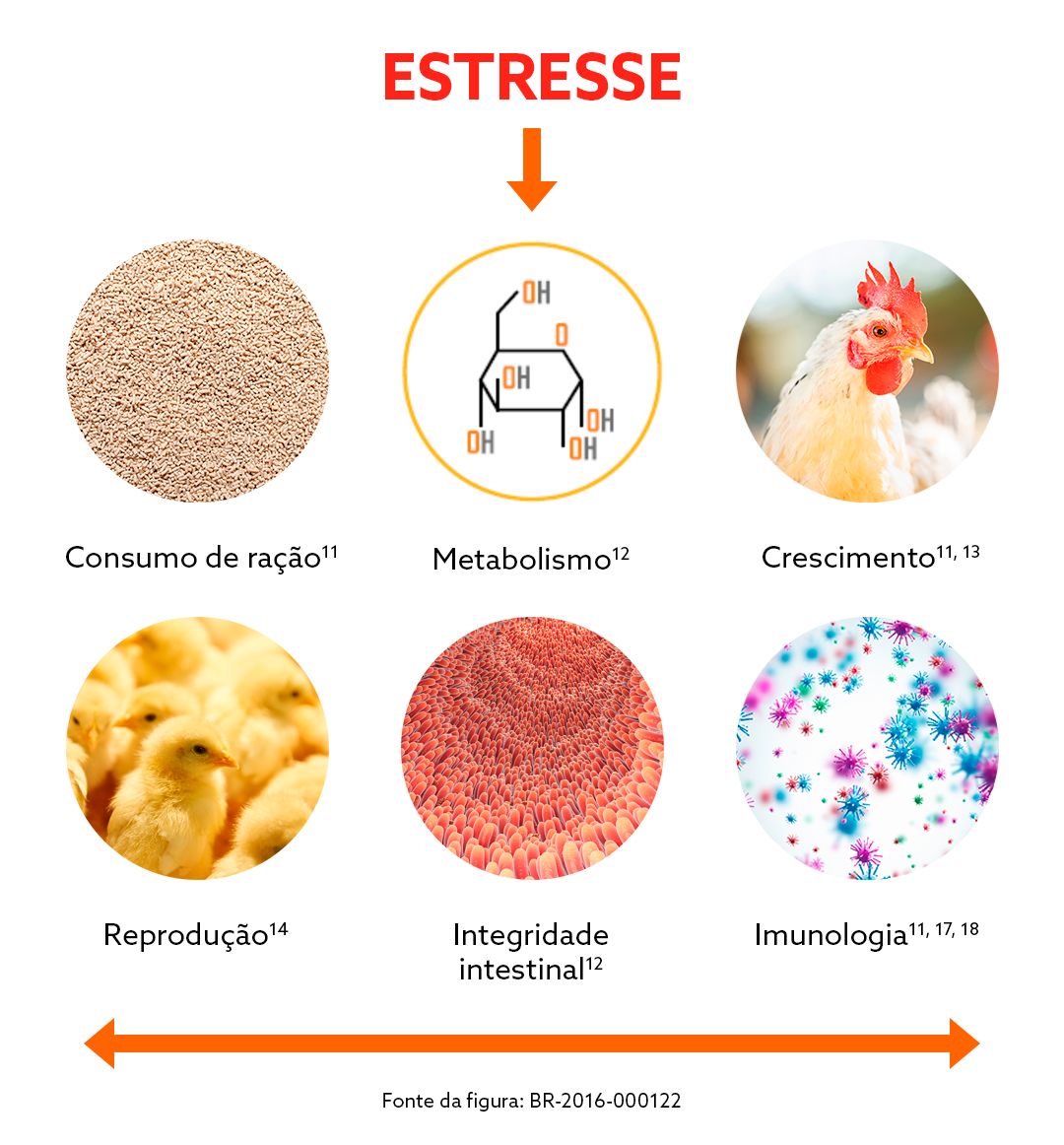 IMAGEM 1 - KemTRACE.png