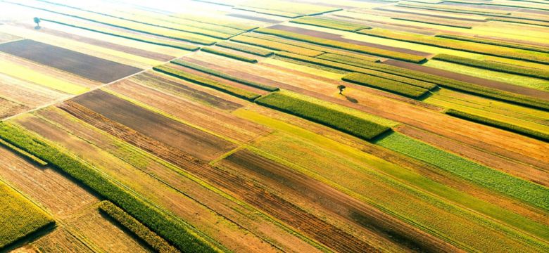 Farming field air photo