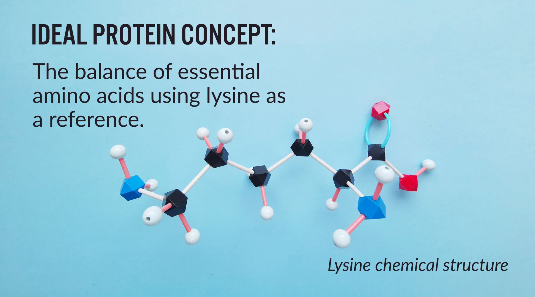 IdealProteinConceptImage