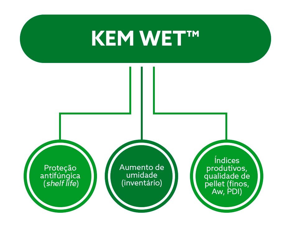 Imagem 1 KEM WET.png