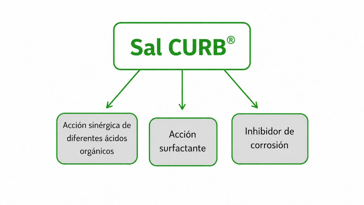 esquema sal curb es