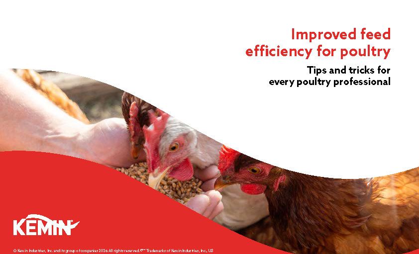 Improved feed efficiency for poultry Page 01