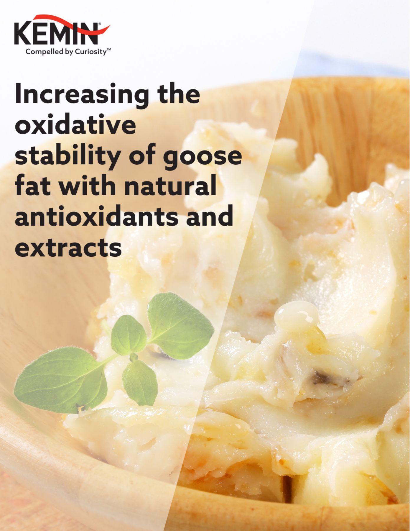 Increasing the oxidative stability of goose fat with natural antioxidants and extracts 