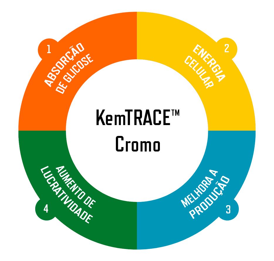 Infográfico Kemtrace suinos.png