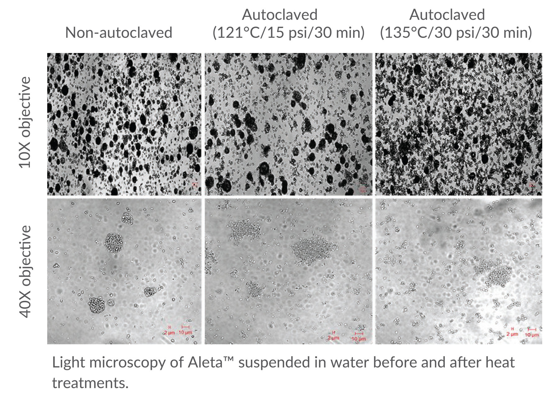 KAA Aleta light microscopy suspended in water reference