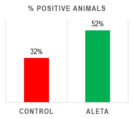 KAA Aleta on AE vaccination in layer pullets_3