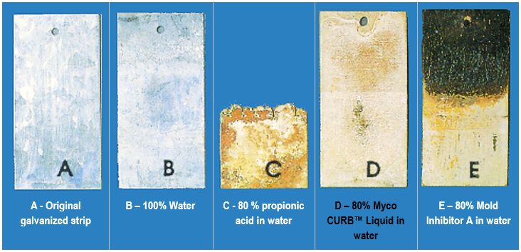 KAA MycoCURB galvanized_strips