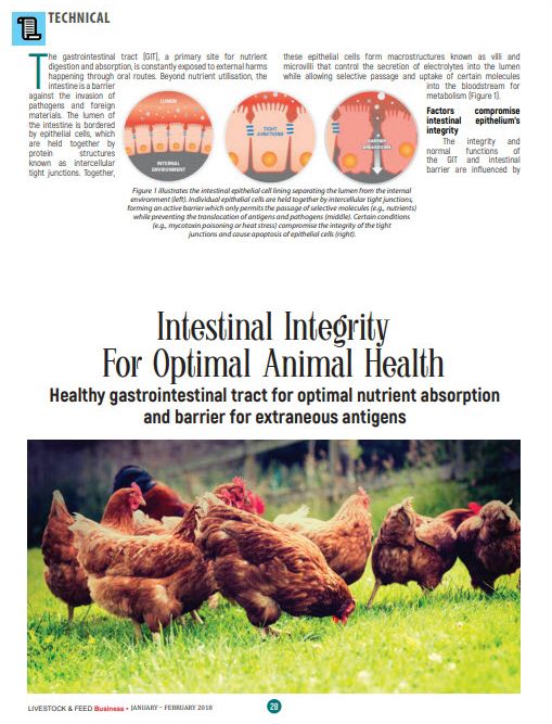 KAAIntestinalIntegrity