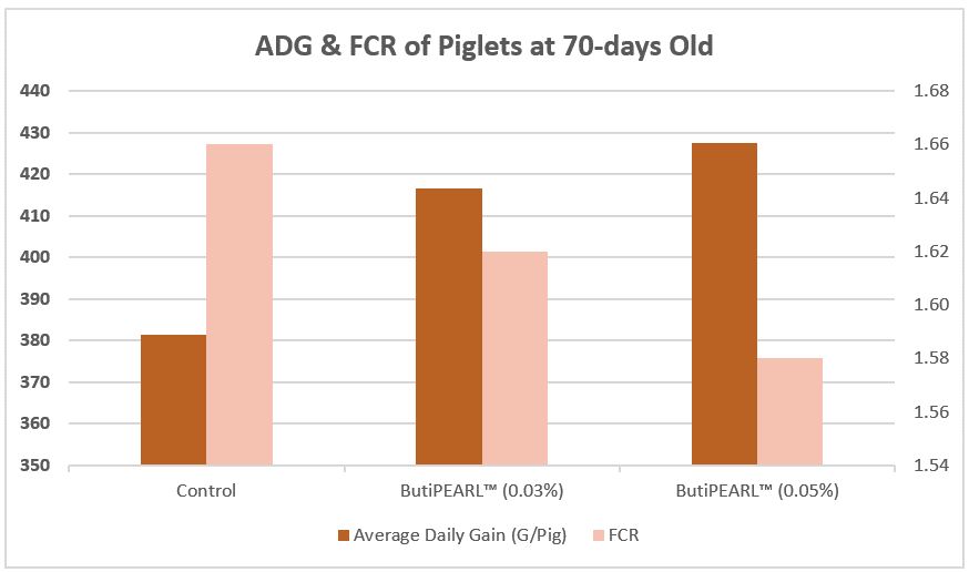 KAAPerformanceimprovementofpigletsafter6weeksofbeingfed