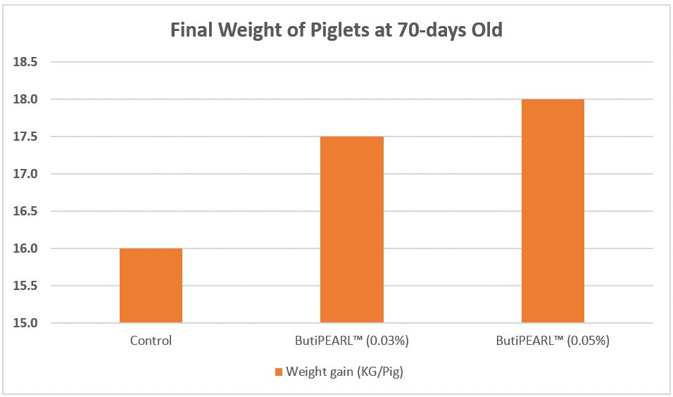 KAAWeightgainofpigletsafter6weeks