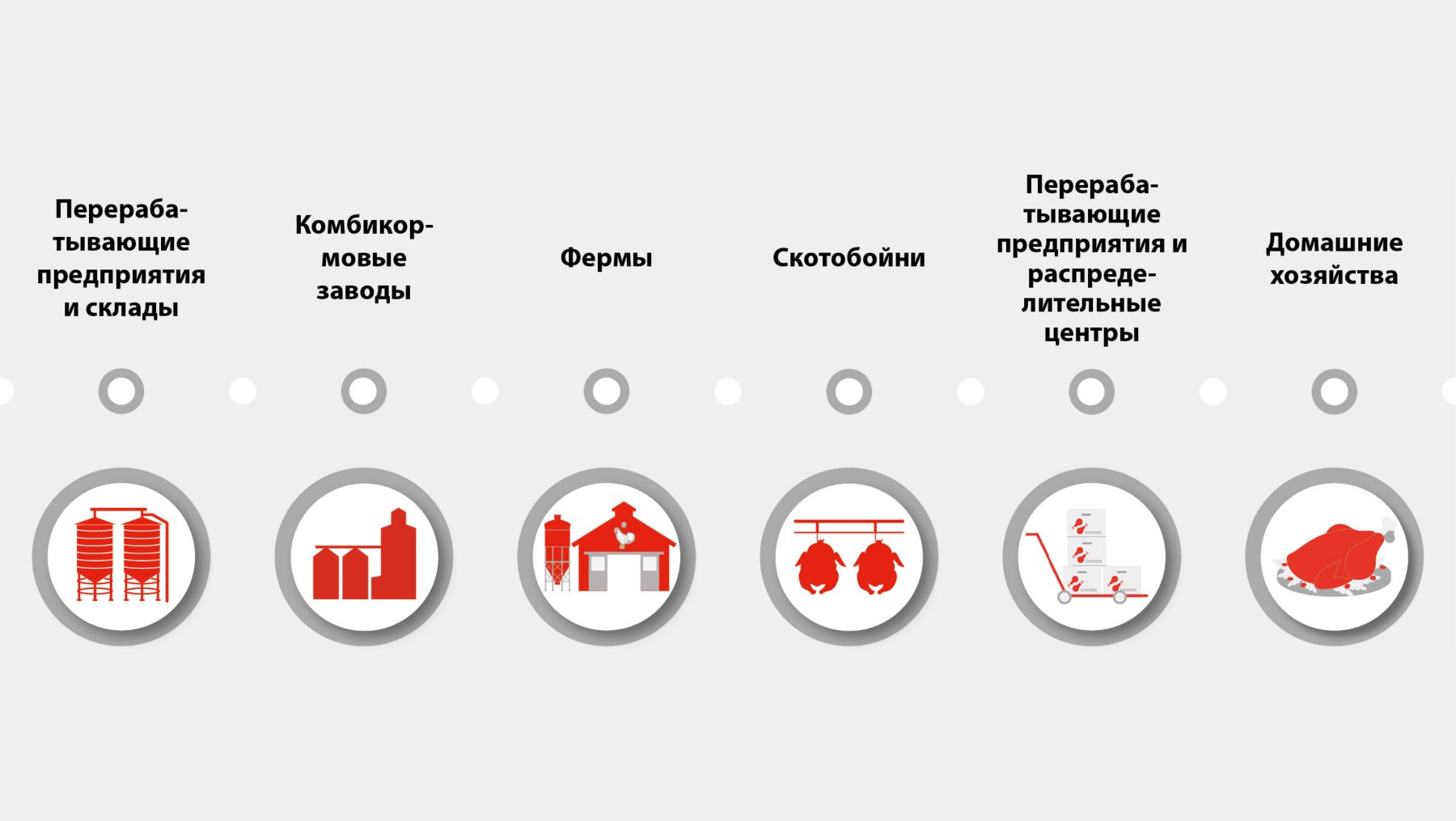 KAE Health_feed to food chain_RU