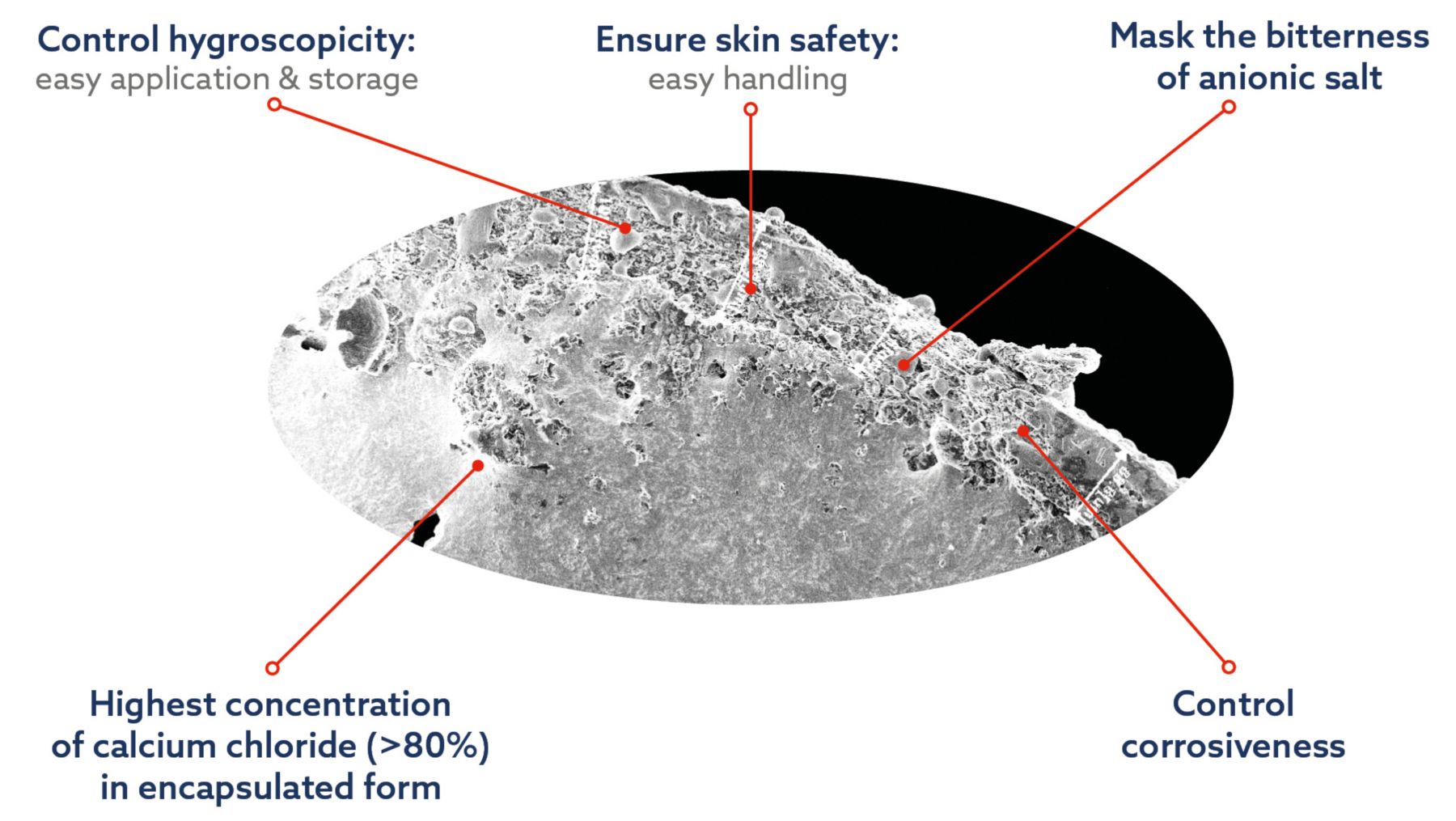 KAE Ruminants_NutriCAB pan coating technology_ENG