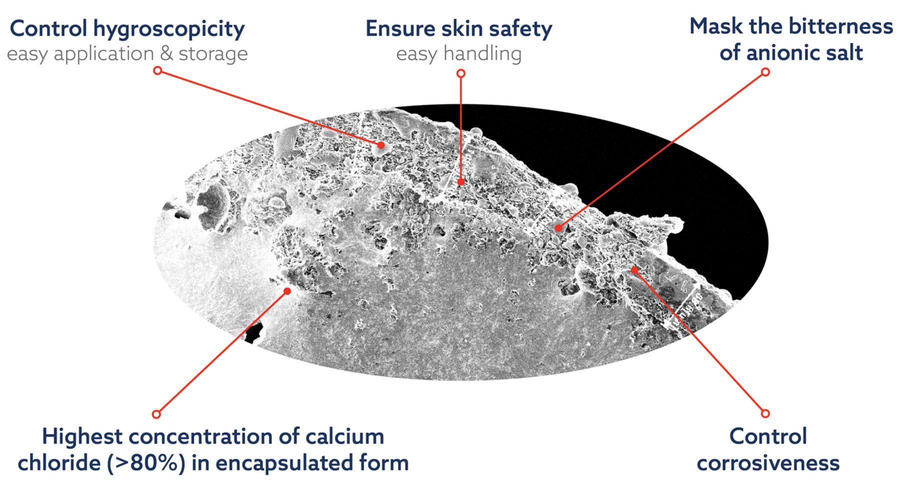 KAE Ruminants_NutriCAB pan coating technology_ENG (update 2022)