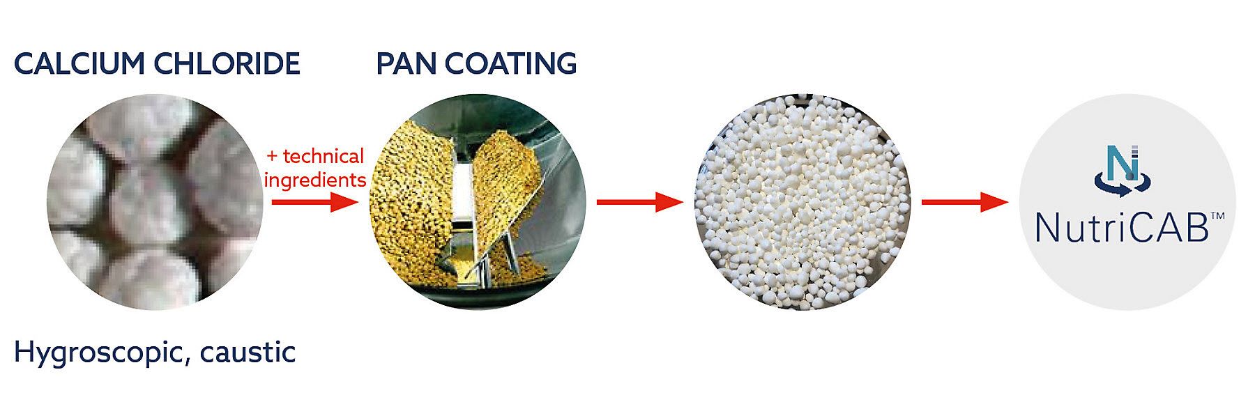 Ruminants NutriCAB ENG Infographic Cropped