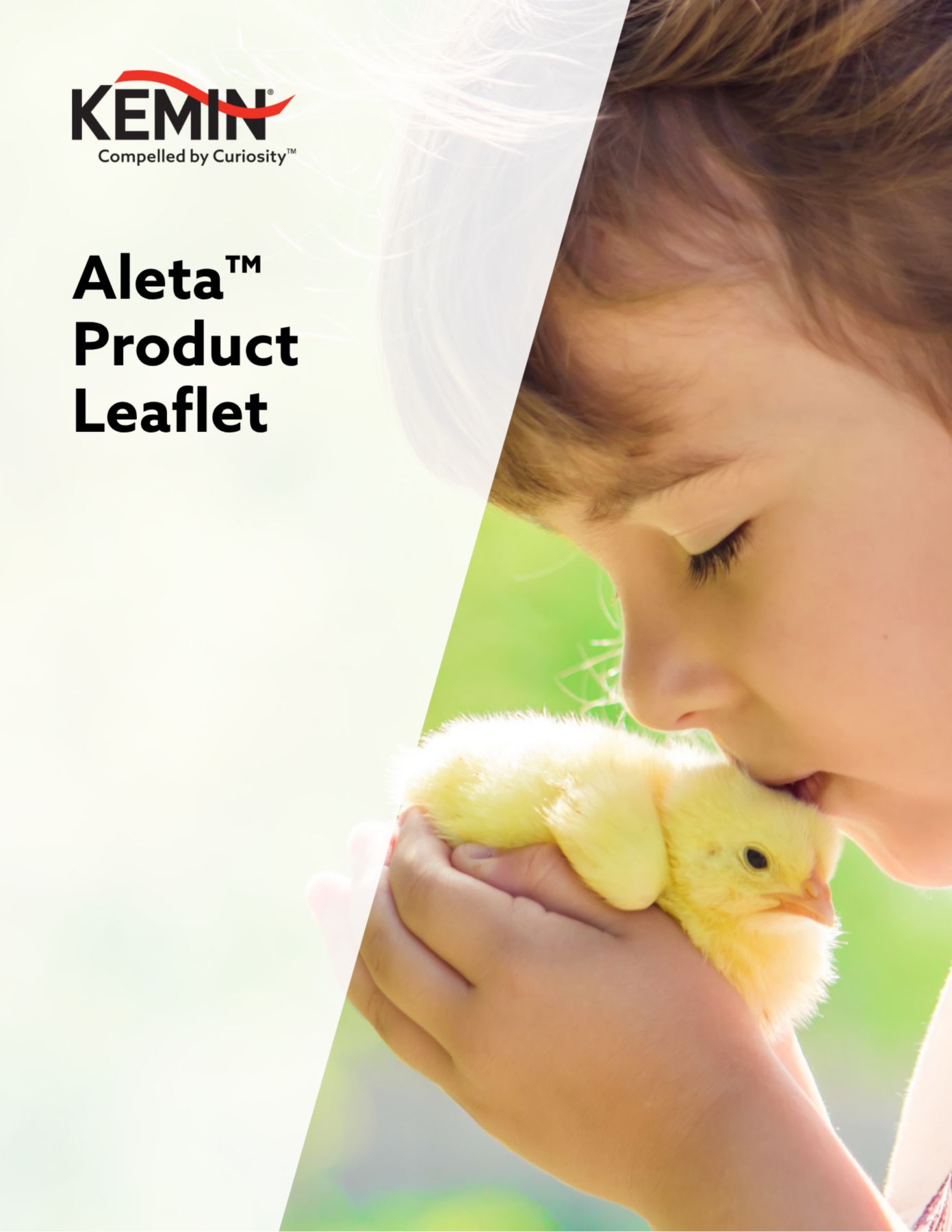 KAE Thumbnail_Aleta product leaflet 2025