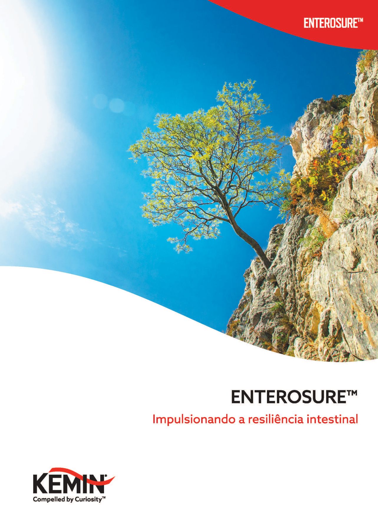 Folder ENTEROSURE