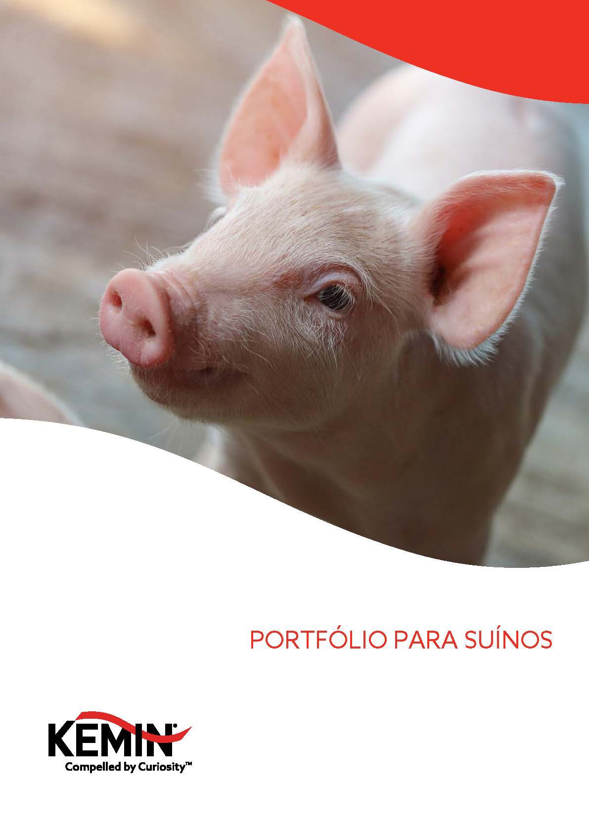 KAS_224 - Portfolio de Produtos - Suinos PT_Página_1.jpg