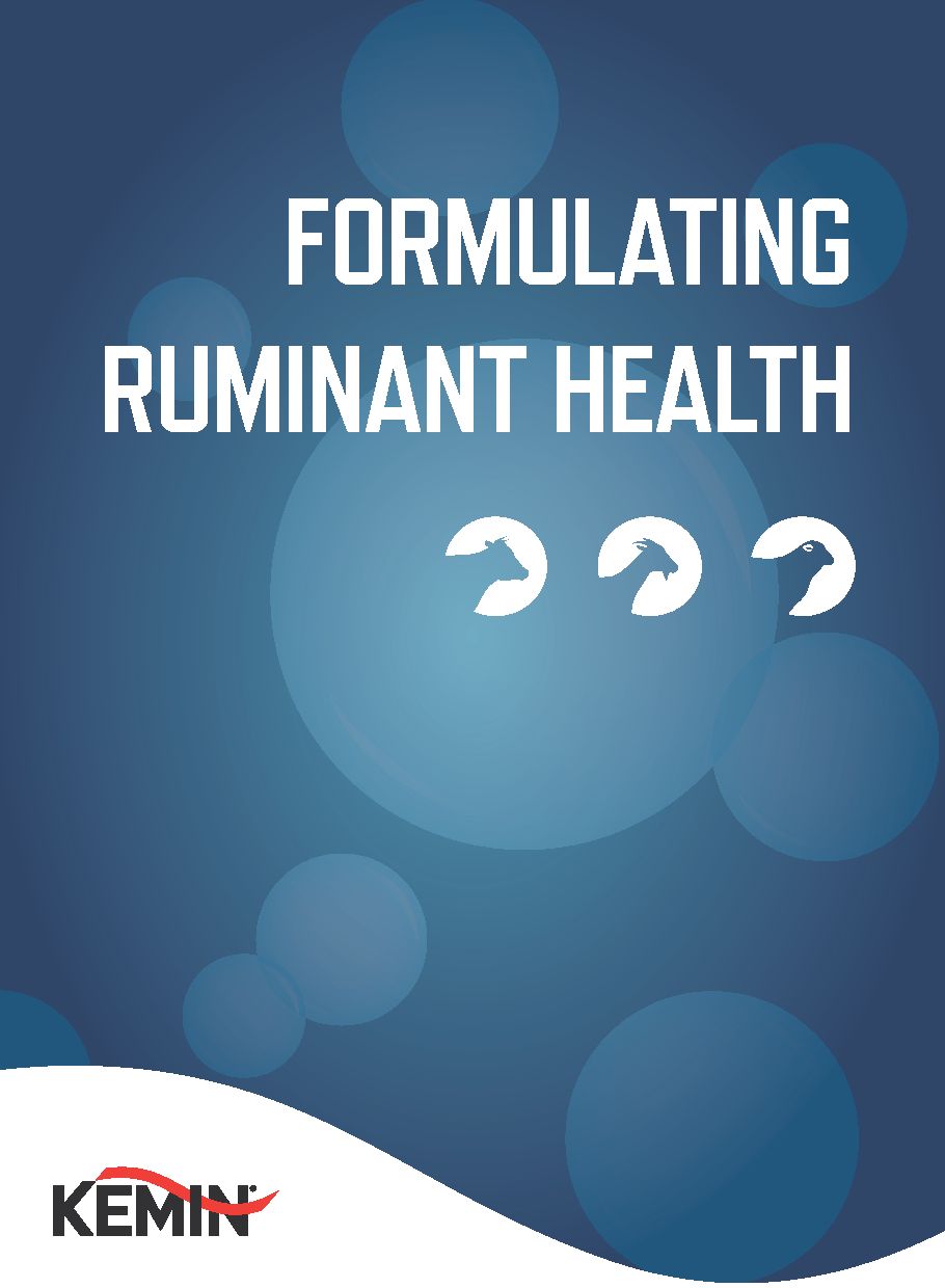 Formulating Ruminant Health